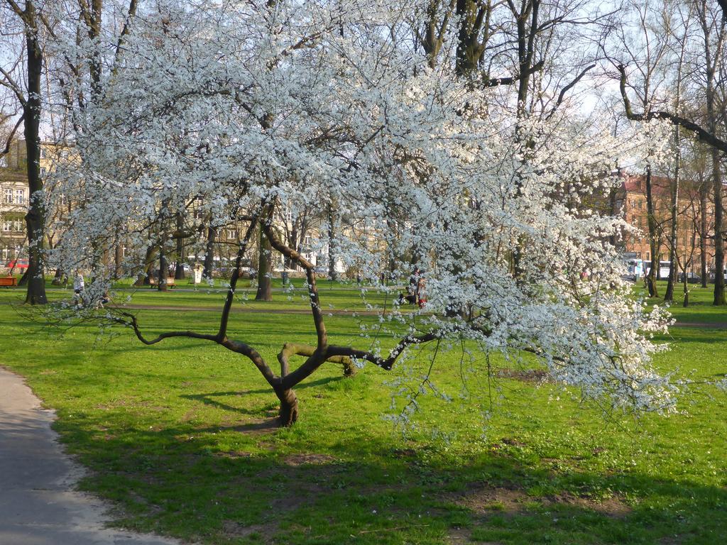 Garden Apartment Krakow Exterior photo